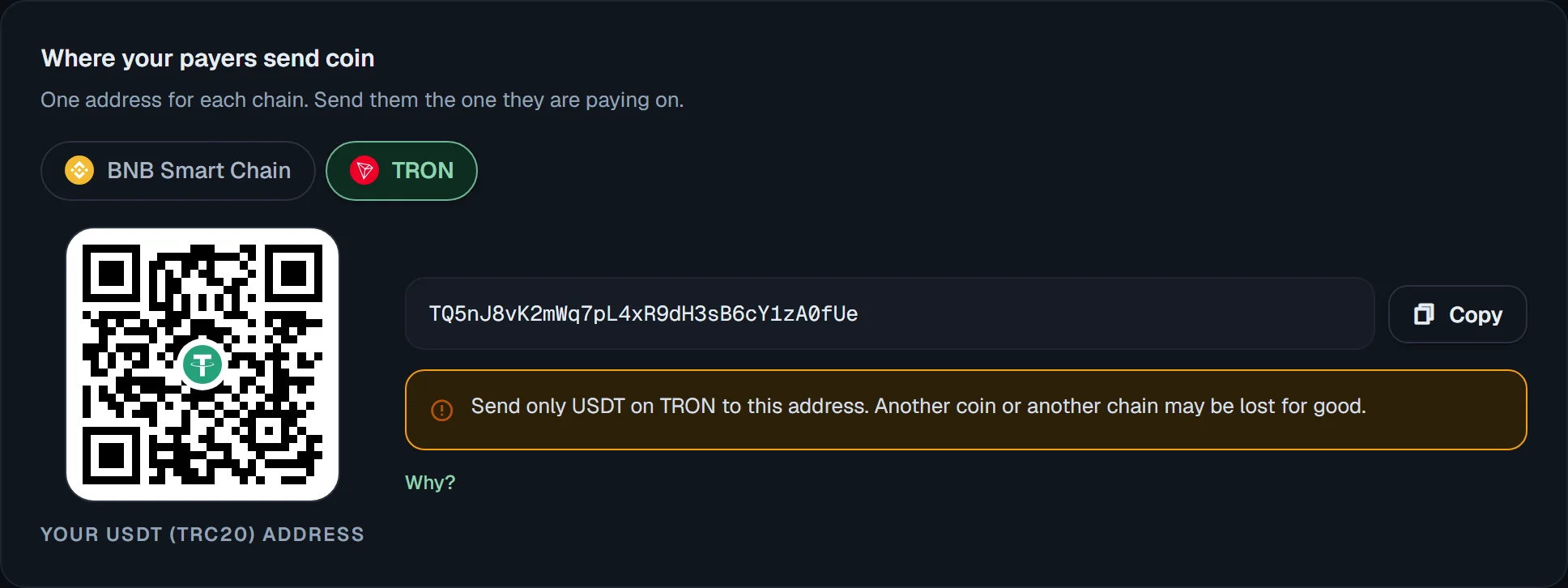 USDT receiving address with QR code